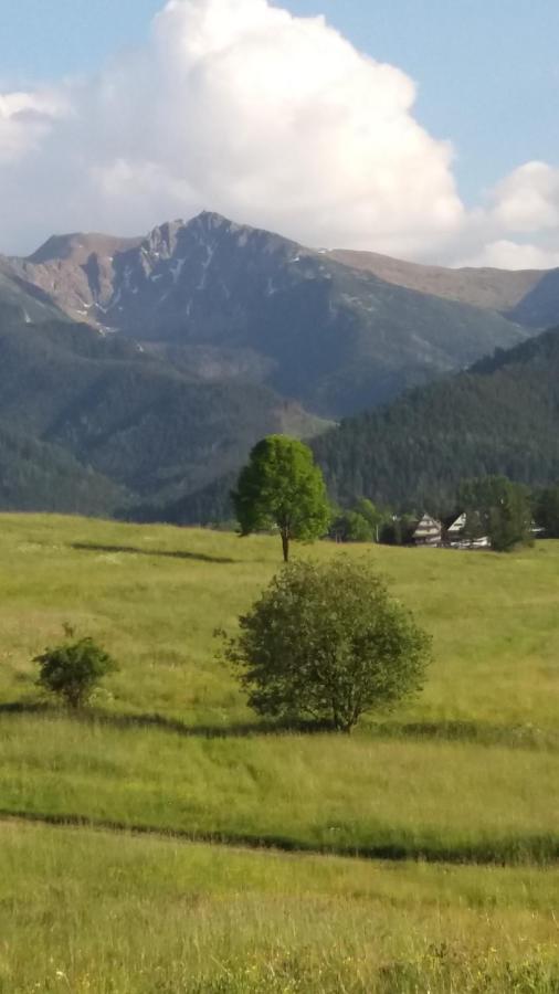 Domek Pod Ubocom Zakopane Eksteriør bilde